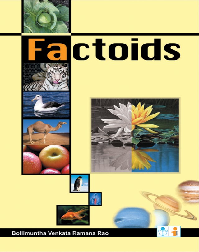 Factoids